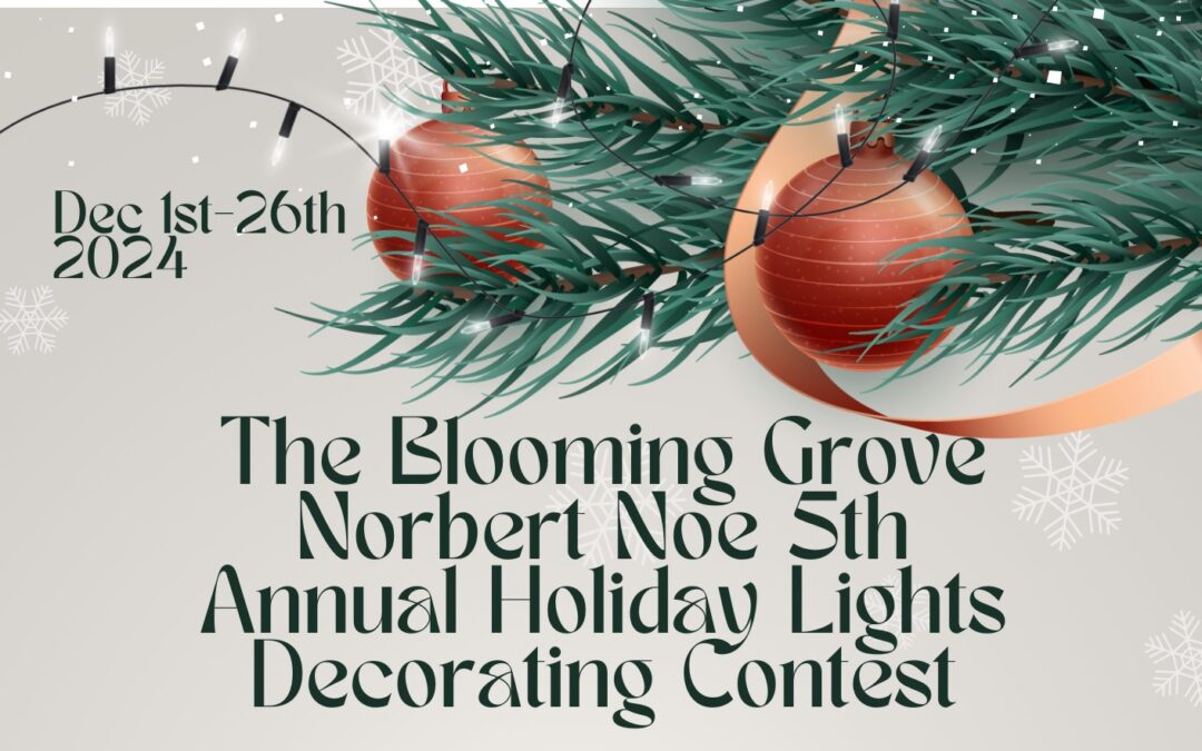 holiday light decorting contest